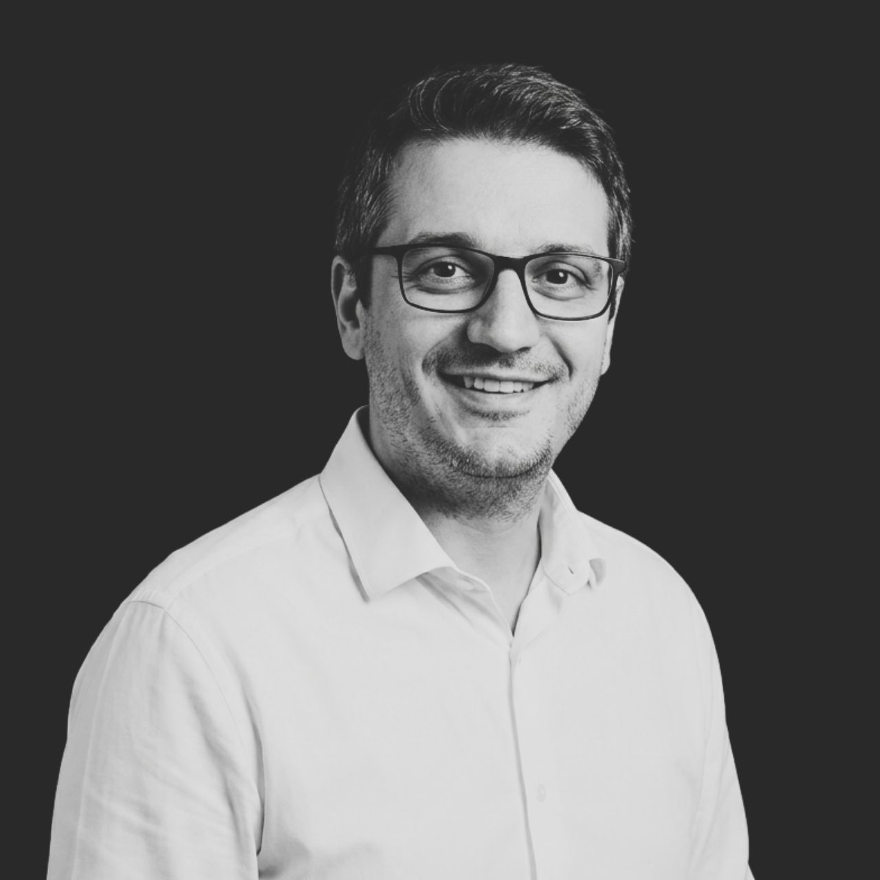 Portrait of Dimitar Stoyanov, Fractional Data Leader